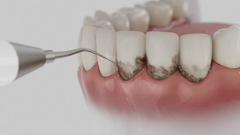 Reliable Dental contractor in Pittsburg, TX by Dentist Open Now